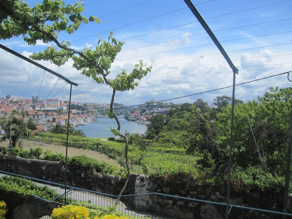 Douro_08_ Porto e Gaia vistos das caves Graham’s